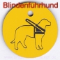 Preview: Handicap